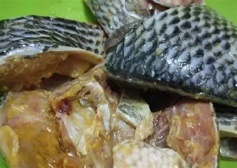 Proses Marinasi Ikan Ikan nila yang sedang dimarinasi bumbu kuning