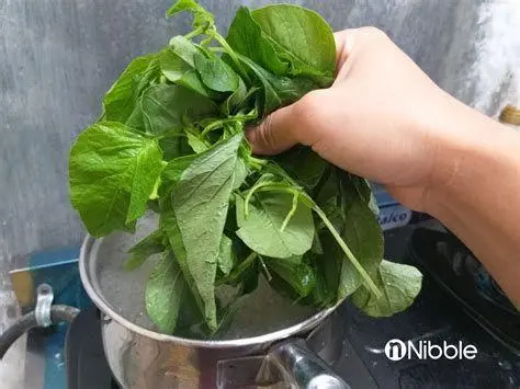 Memasak Sayur Bobor Bayam Proses memasak sayur bobor dengan memasukkan bayam ke dalam panci